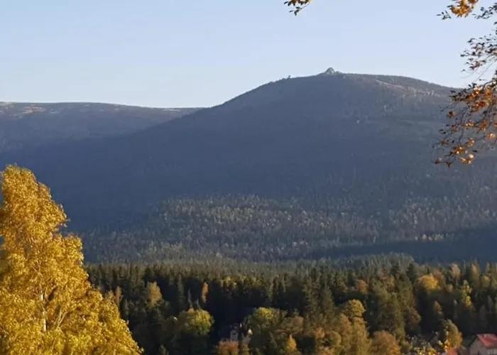 Apartment Sniezna Gran